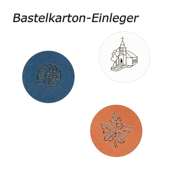 Bastelkarton-Einleger für Blumenstecker-Bastelkarton mit Konturenstickern